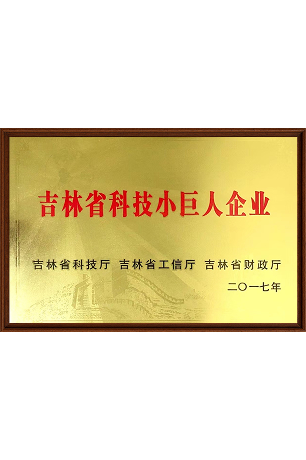 吉林省科技小巨人企业