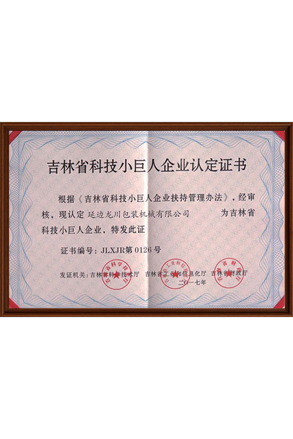 小巨人企业认定证书